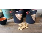 Snack Birds